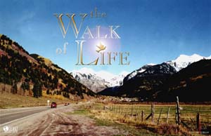 The Walk Of Life